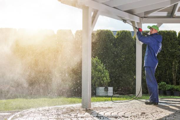 Animal Enclosure Cleaning in Parma Heights, OH